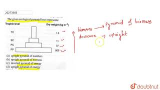 The given ecological pyramid best represents [upl. by Yentruok]