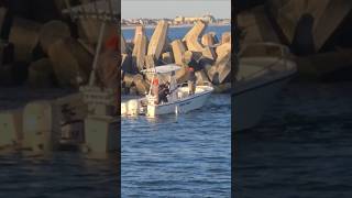 Bluefish Galore At The Jersey Shore  Manasquan Inlet  Point Pleasant Beach [upl. by Crenshaw]