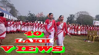 Kancha Sona Jhumoir Dance Exhibition New HD Jhumoir Assam Deser Chai k bagane DIBRUGARH ASSAM [upl. by Kciredor]