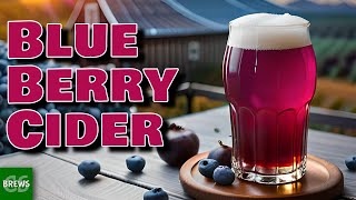 Easy to Make Blueberry Cider using FRESH Blueberries [upl. by Maria]