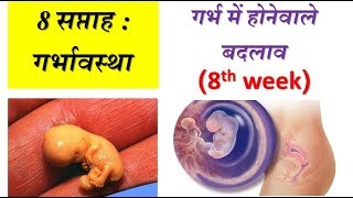 8 weeks of pregnancy and baby development in hindi [upl. by Esilram730]