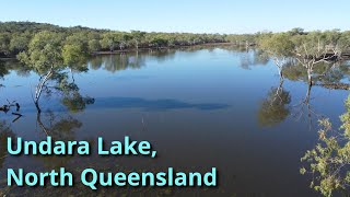 Undara Lake North Queensland with Kangaroos [upl. by Boles818]