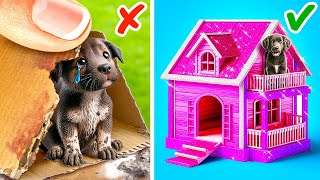 Jai Construit Une Maison Pour Un Chiot Errant 🐶🏠 Astuces Secrètes Pour Les Propriétaires Danimaux [upl. by Nyrehtak405]