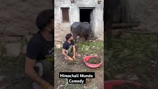 Himachali Munda Comedy trending himachalipahariculture पहाड़ीlife comedy himachalitradition [upl. by Socram]