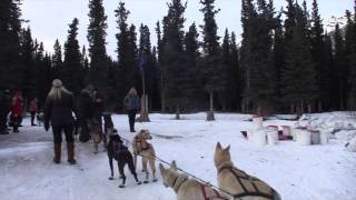 Iditarod 2016 Rohn Checkpoint [upl. by Burnard]