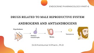 Androgens and Antiandrogens Reproductive hormonesEndoPart6 [upl. by Maddi359]