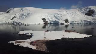 South Georgia amp Antarctica on MS Island Sky [upl. by Jansen]