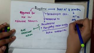 primidone  Pharmacology [upl. by Anaujd266]