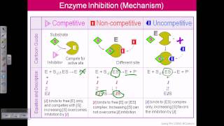 Enzyme inhibition [upl. by Natassia]