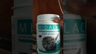 review susu midalac goats milkmilk for cat amp kitten cara memakainya midalac kucinglucu cutecat [upl. by Hasan898]