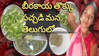 Beerakaya thokku pachadiబీరకాయ తొక్కు పచ్చడి మన తెలుగులోsirivlogs [upl. by Comptom]