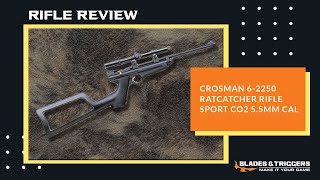 Crosman 2250 Ratcatcher Rifle Review [upl. by Marvin37]