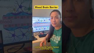 BloodBrainBarrierNeurobiologyBrainResearch [upl. by Arocal]