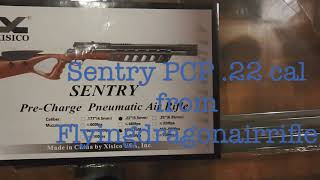 My Xisico Sentry PCP Airgun in 22 Cal 55mm [upl. by Larentia893]