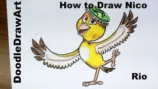 Drawing How To Draw Nico from Rio Step by Step [upl. by Courtnay]