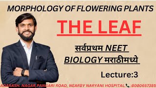 LECTURE 3 LEAFMORPHOLOGY OF FLOWERING PLANTS CLASS 11 COMPLETE NCERT FOR NEET 2025 MD BIOLOGY [upl. by Aihsirt]