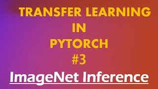 Python Pytorch Tutorials  2 Transfer Learning  Inference with ImageNet Models [upl. by Levy]