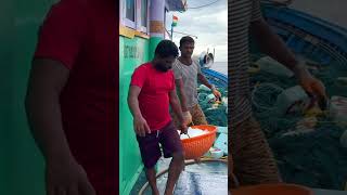 We Helped The Boat By Giving It Ice In The Deep Sea Shorts IndianOcean fishing [upl. by Tomlin]