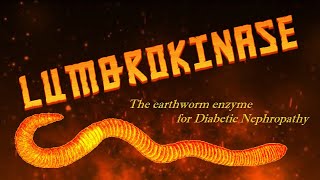 Lumbrokinase The earthworm enzyme for Diabetic Nephropathy [upl. by Ursula]