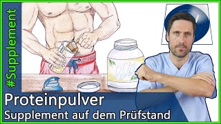 Proteinshakes Welche Vorteile haben Proteinpulver aus ärztlicher Sicht Muskelwachstum amp Abnehmen [upl. by Jacinto]