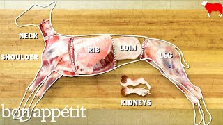 How to Butcher an Entire Lamb Every Cut of Meat Explained  Handcrafted  Bon Appetit [upl. by Ainyt]