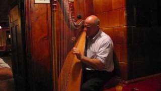 Herbert from the Harfenwirt Niederau Austria plays his harp [upl. by Kannry]