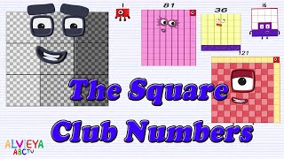 Square Club Big Numbers  1 900 [upl. by Myrta401]