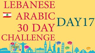 LEBANESE ARABIC ADVANCEDINTERMEDIATE LESSON  LEVANTINE ARABIC  DIALECT  DAY 17 [upl. by Eissac]