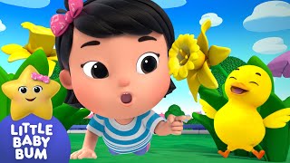 6 Little Ducks Counting ⭐ Mias Learning Time Little Baby Bum  Nursery Rhymes for Babies  LBB [upl. by Asial]