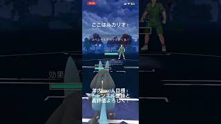 はがね三体編成！ポケモンgo [upl. by Nosyrb951]