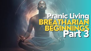 Breatharian Beginnings Part 3  Pranic Living  Breatharianism [upl. by Ruscio996]