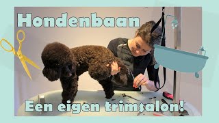 HONDENBAAN 1 Trimsalon Spa le Boeff [upl. by Somar]