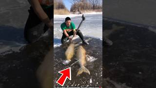 ये आदमी मछली की बर्फ जान बचाता है  ice fish  shortsvideo [upl. by Ibed]