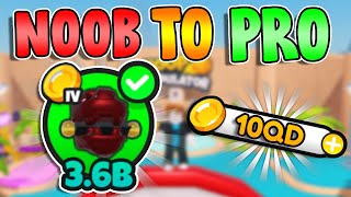 I Went From NOOB TO PRO In Hoop Simulator  Roblox [upl. by Ankney887]