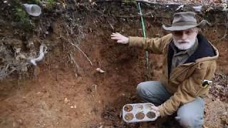 In the Soil Pit  1 with Professor Ray Weil Soil Horizons [upl. by Cherise152]