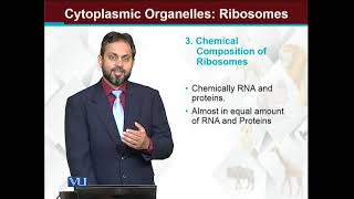 Cytoplasmic Organelles Ribosomes  Principles of Animal LifeI  ZOO514TTopic062 [upl. by Germaine714]