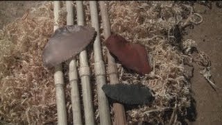 Primitive Tool Arrow Shafts from Ocean Spray Shoots [upl. by Valsimot163]