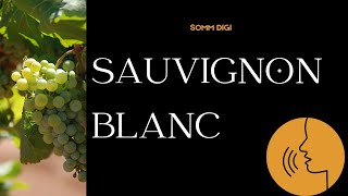 Sauvignon Blanc Pronunciation How to Pronounce sauvignonblanc pronunciation [upl. by Aikcin]