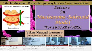 Nucleosome  Solenoid Model  Vikas Mangal Scientist Genetics and Plant Breeding [upl. by Rosel]