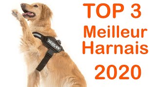 TOP 3  Meilleur Harnais pour Chien 2020 [upl. by Sherman]