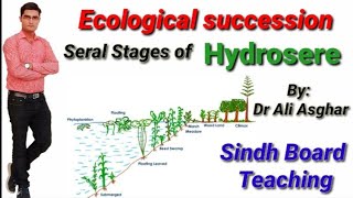 Ecological Succession Serial Stages of Hydrosere [upl. by Elleirbag]