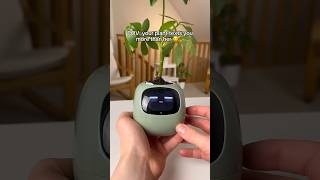 Perfect Gift for Plant Lover shorts plants plantsviralvideo [upl. by Esened]