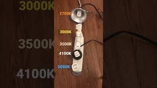 5000K Vs 4100K Vs 3500K Vs 3000K Vs 2700K CFL Comparison shorts cfl colortemperature [upl. by Atnuahc]