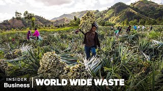 How People Profit Off Pineapple Scraps  World Wide Waste  Insider Business [upl. by Rafaelof697]