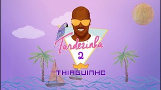 Thiaguinho  Pé Na Areia Álbum Tardezinha 2 Áudio Oficial [upl. by Fechter238]