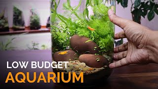 Low Budget Aquarium in a Jar [upl. by Otaner366]