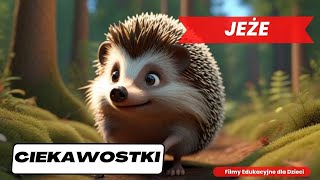 JEŻE Ciekawostki o Jeżach Film dla dzieci ciekawostki filmydladzieci [upl. by Iteerp495]