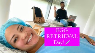 IVF Egg RETRIEVAL [upl. by Namzzaj]