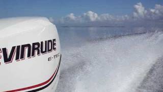 Evinrude Etec 115 [upl. by Yseult]