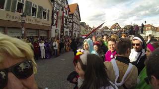 Rosenmontagszug Seligenstadt 2017 [upl. by Anna190]